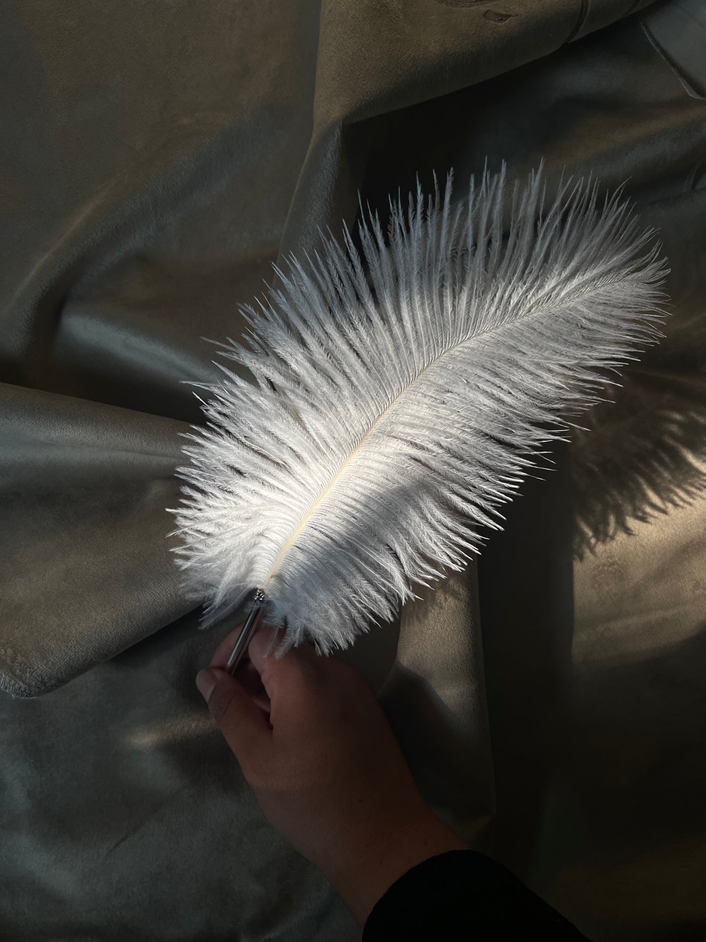 FEATHER PEN